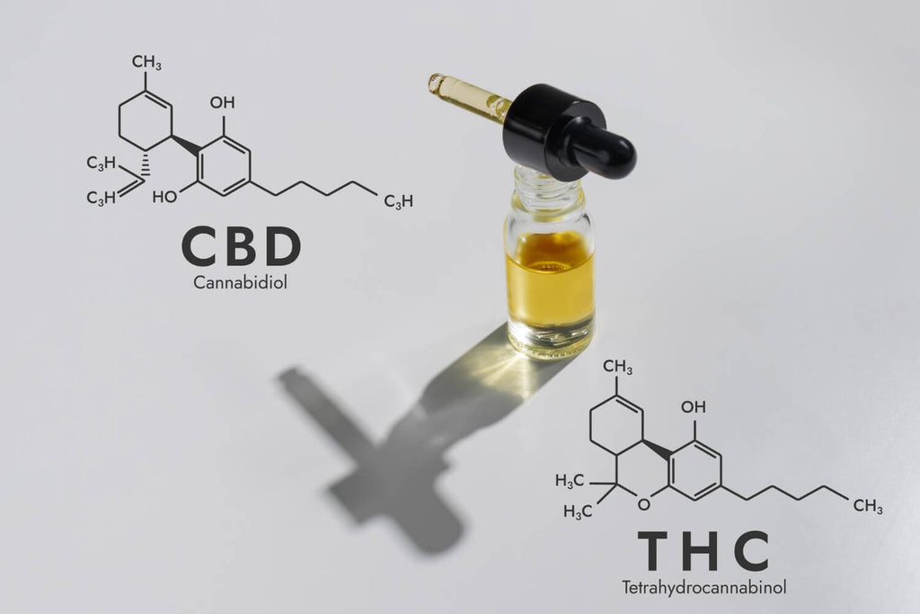 THC Y CBD: ¿Cuáles Son Las Diferencias Entre Estas Moléculas?